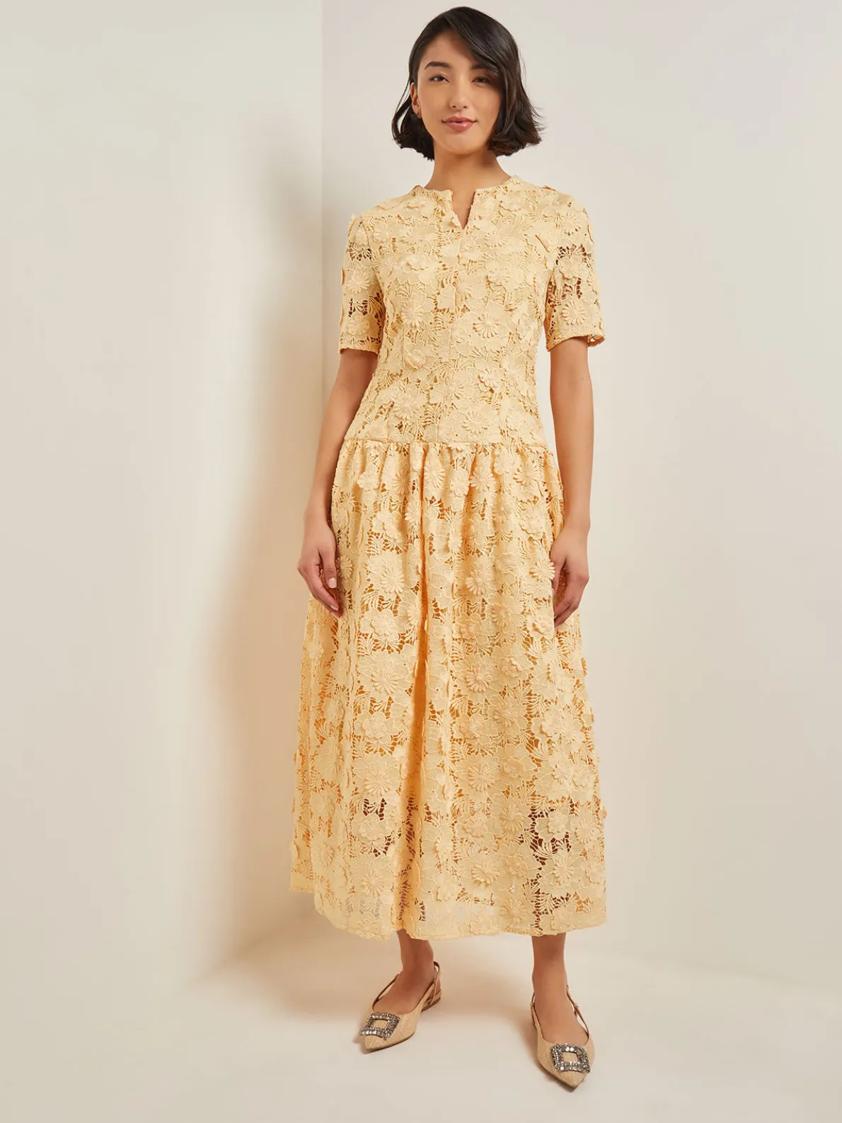 Maxi Pleated Drop Waist Dress - Floral Applique Woven