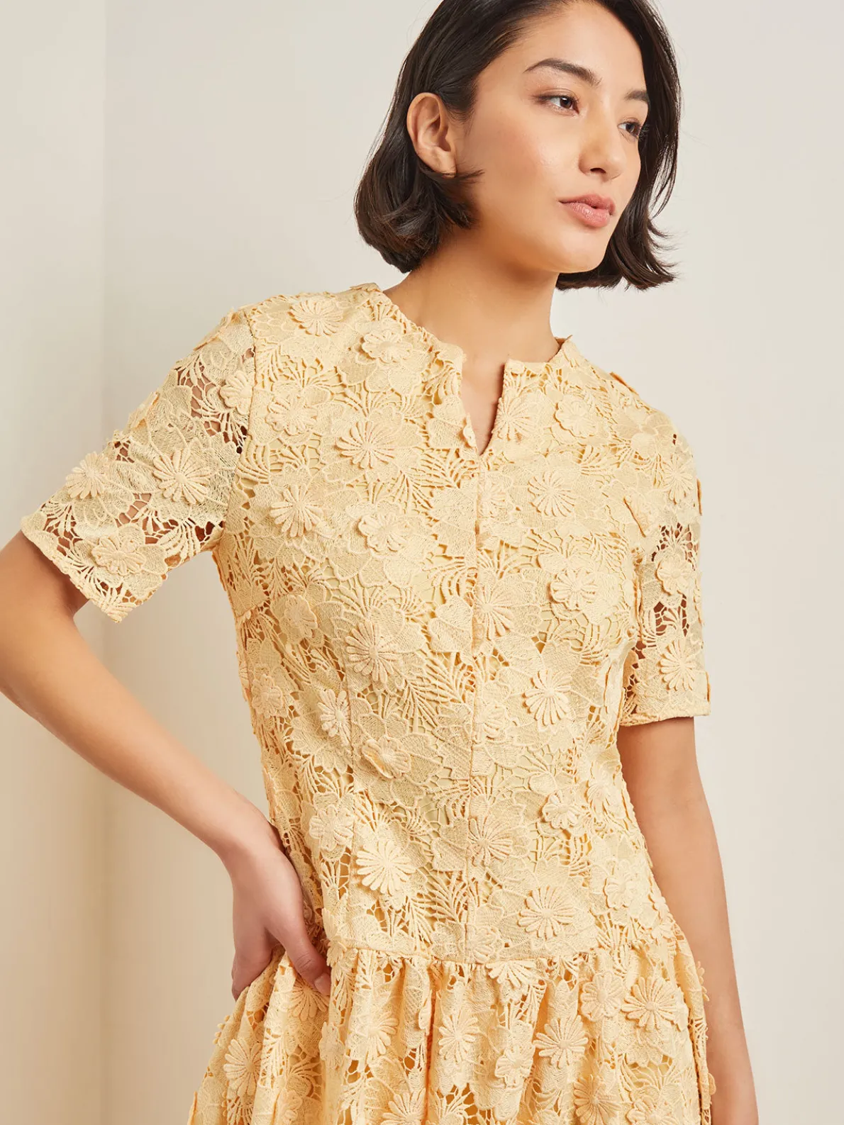 Maxi Pleated Drop Waist Dress - Floral Applique Woven