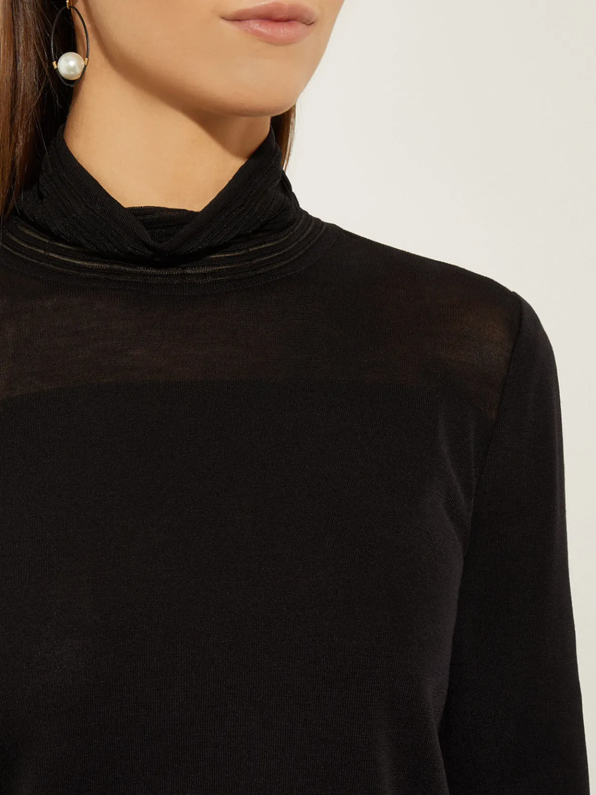 Sheer Inset Turtleneck