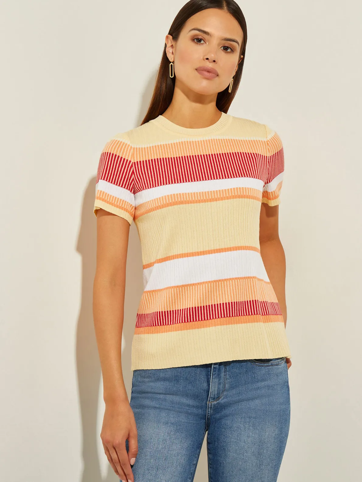 Short Sleeve Intarsia Striped Soft Knit Top