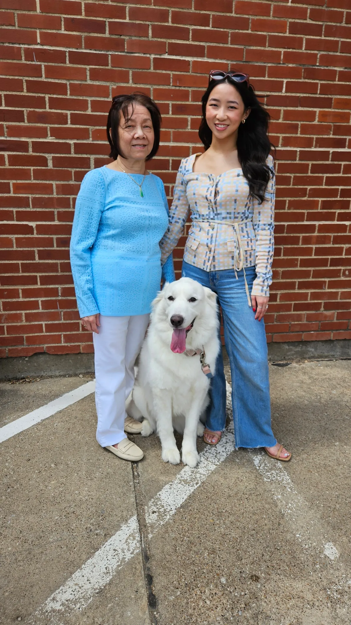 Sweetheart Neck Modern Fit Jacket - Plaid Jacquard Knit